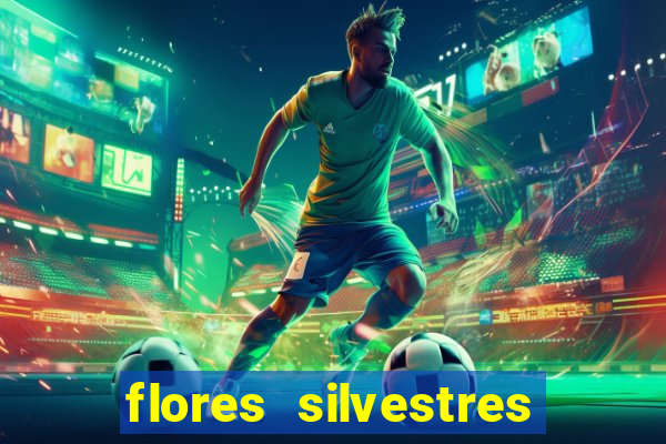 flores silvestres desbravadores desbravadores 25